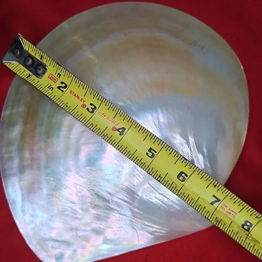 Mother of Pearl Caviar Snack Serving Plates & Knife Shell Polished Trinket